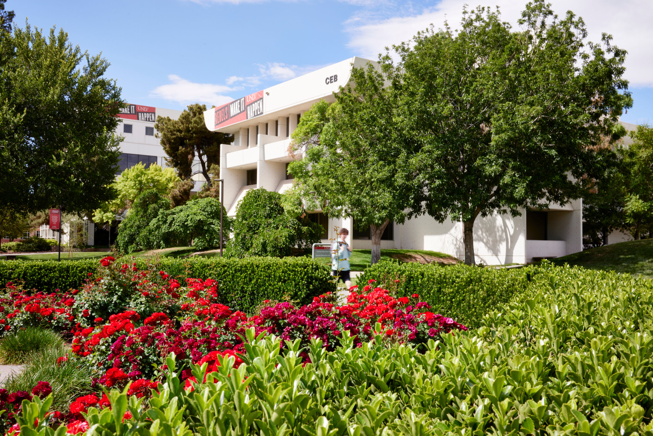William D. Carlson Education (CEB) building with rose bush in foreground.